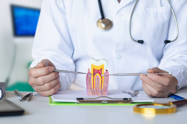 Best Emergency Tooth Extraction in Campbell, OH